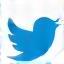 X (formerly Twitter) social media icon